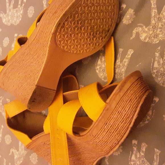 Plantfo - Picture 4 of 4